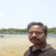 Vijay Sai R